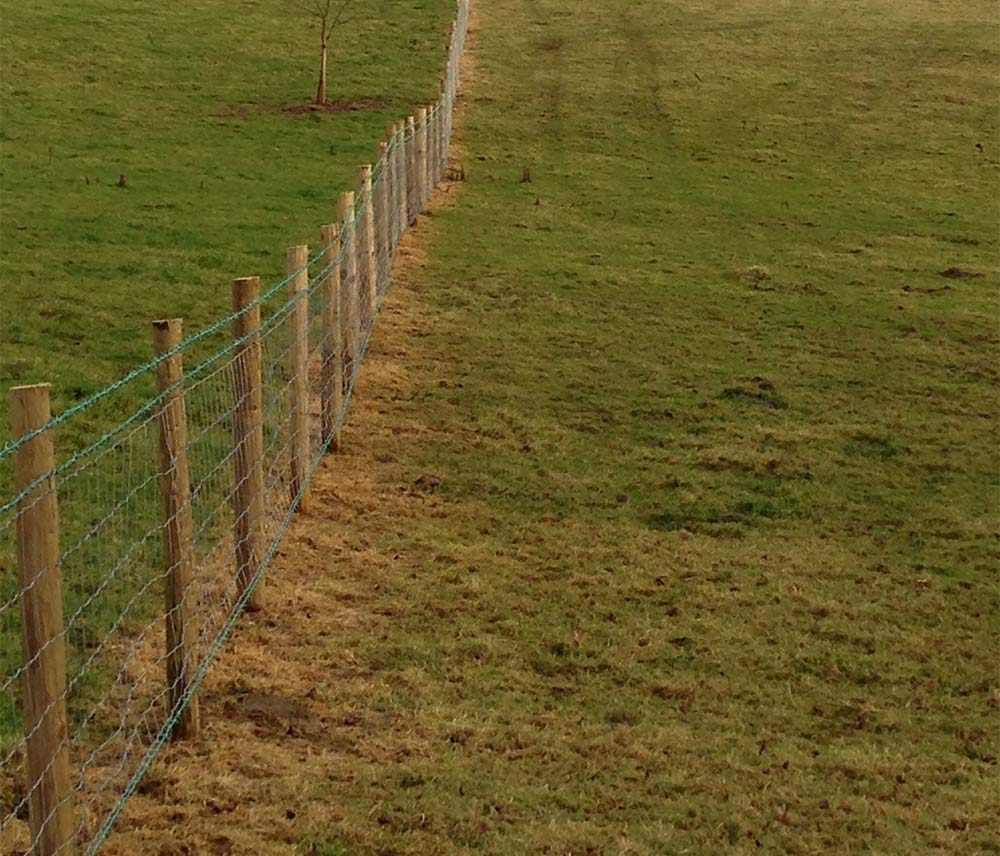 Image of Stock fencing on a Monmouthshire Farm
